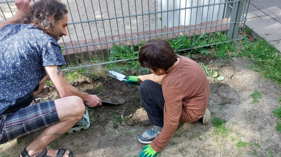 Lavendel-Pflanzaktion in der Boddinbox 